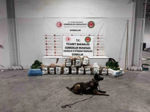 Ağrı&rsquo;da G&uuml;rbulak Sınır Kapısı&rsquo;nda 51 kilo 520 gram esrar ele ge&ccedil;irildi

