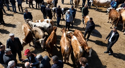 Ağrı&rsquo;da kurban pazarı hareketlendi, sevkiyatlar arttı
