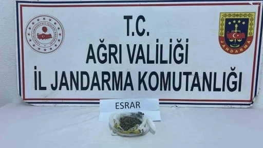 Ağrı’da uyuşturucu operasyonu: 511 kök kenevir ve 50 gram esrar ele geçirildi
