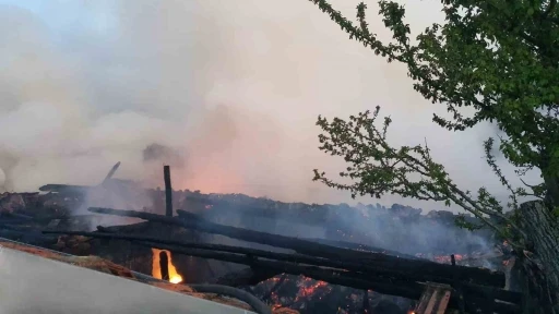Ahırda başlayan yangın iki evi kül etti
