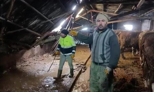 Ahırın &ccedil;atısı yağan karın ağırlığını taşıyamadı, hayvanlar komşuların yardımıyla kurtarıldı
