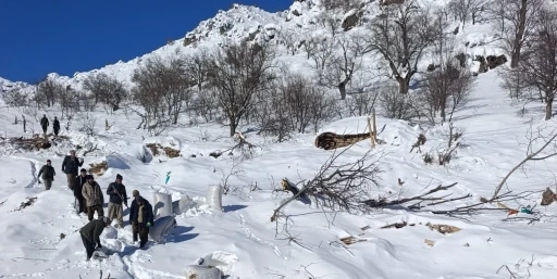 Ahırların &uuml;zerine &ccedil;ığ d&uuml;şt&uuml;, k&uuml;&ccedil;&uuml;kbaş hayvanlar telef oldu
