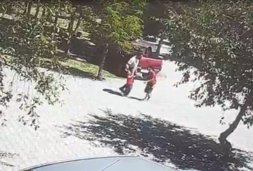 Ahlat’ta başıboş köpeklerin saldırısına uğrayan çocuk son anda kurtarıldı
