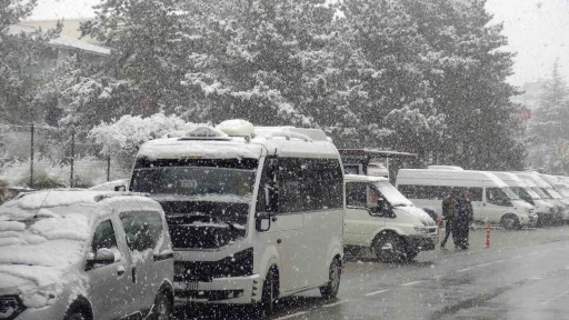 Ahlat’ta nisan karı etkili oldu

