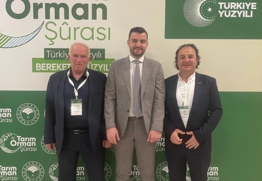 Ahşap palet sektöründen 18. madde çağrısı: &quot;Palet havuzu modeli için hazırız&quot;
