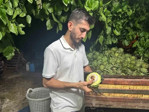 Ailecek enginar soyucular: Soyması 10 saniye s&uuml;r&uuml;yor

