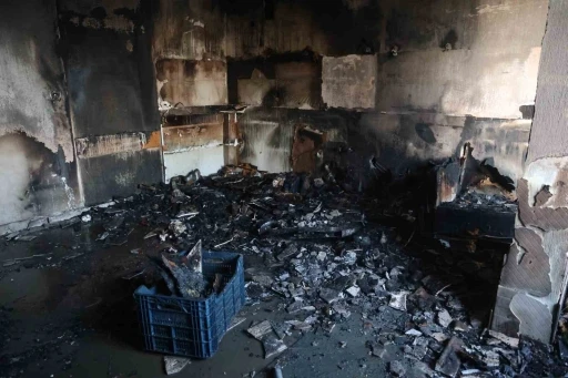 Ailecek gezmeye gitmişlerdi, eve geldiklerinde kullanılacak eşya kalmayan mutfakla karşılaştılar
