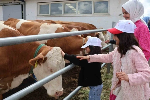 Aileyle üretim yolculuğu: Modern tesislerden tandıra, nesiller buluştu
