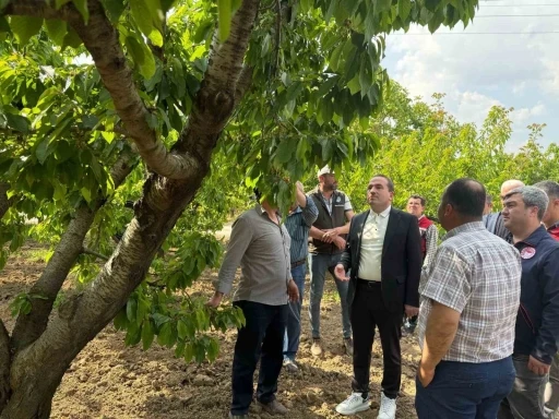 AK Partili Kırkpınar, zirai don yaşanan bölgelerde incelemelerde bulundu
