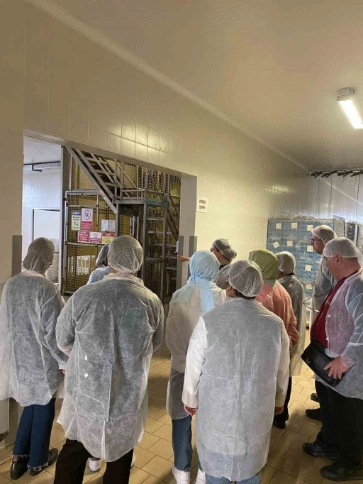 Akademi Öğretmenleri ayran fabrikasını inceledi
