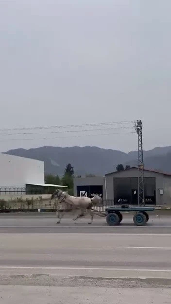Akan trafikte panik anları: Ka&ccedil;ak at pistte yarışırcasına ilerledi
