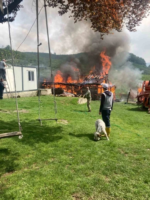 Akçakoca’da samanlık yanarak küle döndü

