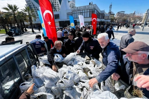 Akçakoca ve Gölyaka’da fidan dağıtıldı
