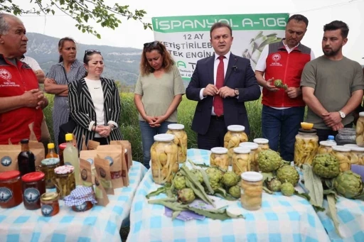  ‘Hibrit Enginar Hasadı Tarla Günü’ düzenlendi