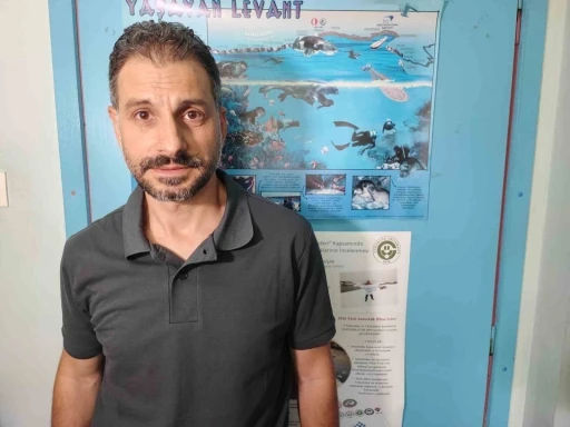 Akdeniz’de deniz suyu sıcaklığı arttı zehirli balıklar geldi
