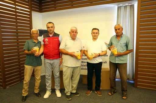Muğla'da Akdeniz Meyve Sineğiyle Mücadele Hız Kazandı