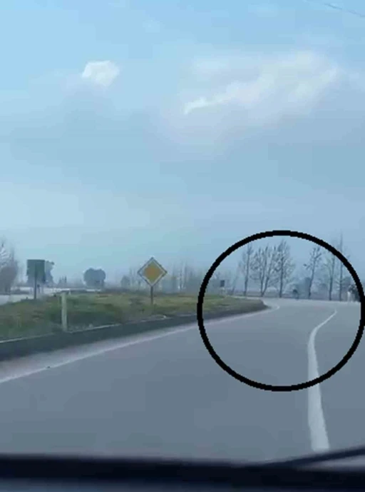 Akrobatik hareketler yapan motosiklet s&uuml;r&uuml;c&uuml;s&uuml; tarlaya u&ccedil;tu

