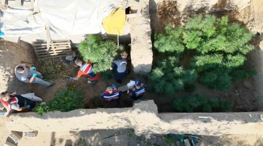 Aksaray’da dron destekli uyuşturucu operasyonu: 1 tutuklama
