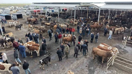 Aksaray&rsquo;da hayvan pazarında kurban hareketliliği yaşanıyor
