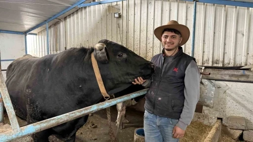 Aksiliklerinden kantara &ccedil;ıkamıyorlar: 4 yaşındaki dev tosunları g&ouml;ren bir daha bakıyor
