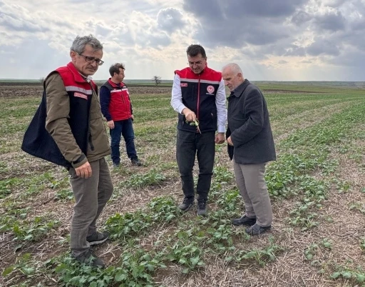 Aksoy: &quot;Anıza ekim, yağmurun emilimini artırır ve buharlaşmayı azaltarak rutubeti toprakta tutar&quot;

