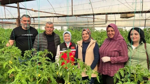 Aksu&rsquo;da &ouml;rt&uuml; altı tarımda yıllık yaklaşık 370 bin tonluk rekoltenin tamamı kadın &ccedil;ift&ccedil;ilerin emeğiyle &uuml;retiliyor

