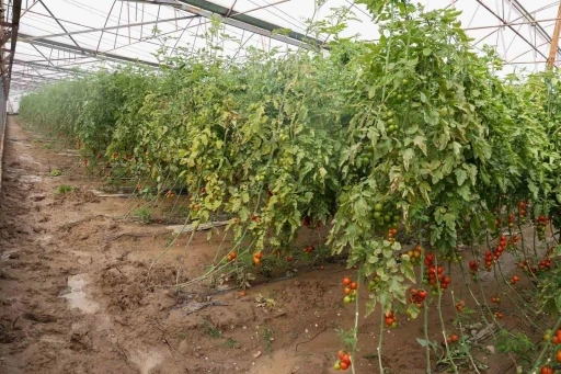 Aksu&rsquo;da sağanak, sel, hortum ve doludan 23 mahalle, 500 &ccedil;ift&ccedil;i zarar g&ouml;rd&uuml;
