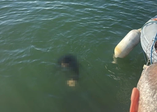 Ak&uuml;l&uuml; tekerlekli sandalyesiyle denize d&uuml;şen kişi kurtarılamadı
