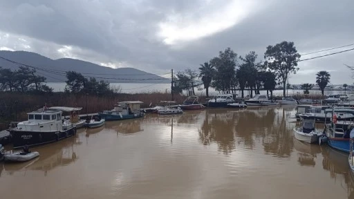 AKYAKA&rsquo;DA AZMAK NEHRİ KAHVERENGİNE B&Uuml;R&Uuml;ND&Uuml;