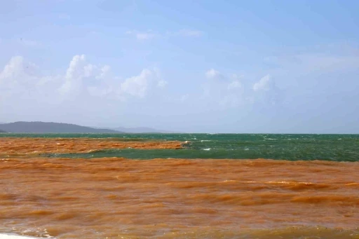 Akyaka&rsquo;da denizin rengi kahverengiye d&ouml;nd&uuml;
