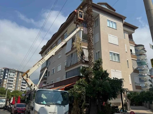 Alanya Belediyesi ve AEDAŞ’dan yangın riskine karşı önlem
