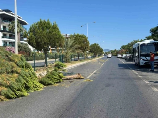 Alanya&rsquo;da alkoll&uuml; s&uuml;r&uuml;c&uuml;n&uuml;n kullandığı midib&uuml;s ref&uuml;j&uuml; aşıp karşı şeride ge&ccedil;ti
