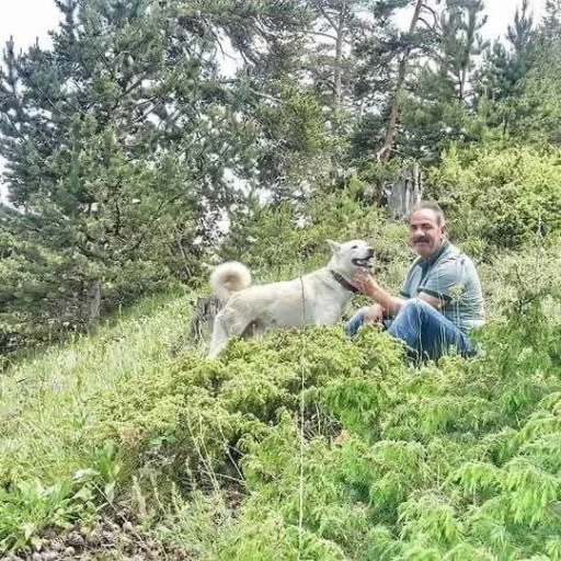 Alanya’da kamyon ile damper arasında sıkışan şoför hayatını kaybetti
