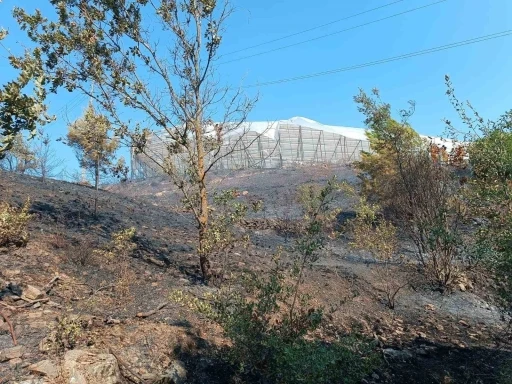 Alanya’da makilik alanda çıkan yangın kısa sürede kontrol altına alındı
