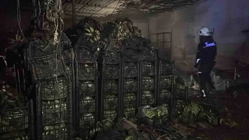 Alanya&rsquo;da muz sarartma tesisinde yangın: Tonlarca muz zarar g&ouml;rd&uuml;
