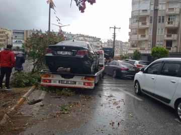 Alanya’da refüje çıkan otomobil ağaçları devirdi
