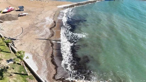 Alanya&rsquo;da sahildeki siyah tabaka &ouml;nce  tedirgin etti, ger&ccedil;ek sonradan ortaya &ccedil;ıktı
