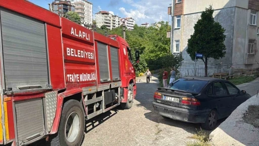 Alaplı&rsquo;da alev topuna d&ouml;nen piknik t&uuml;p&uuml; korkuttu
