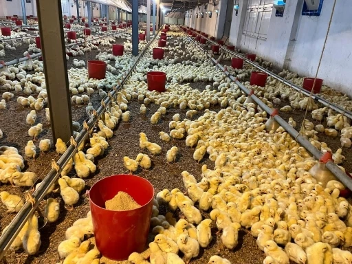 Alaplı&rsquo;da k&uuml;mes yangını korkuttu
