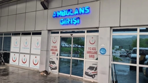 Alaplı&rsquo;da &rsquo;pat-pat&rsquo; kazası: 2 yaralı
