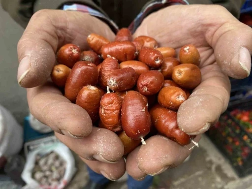 Alaşehir’de iğde ağaçlarının sayısı her geçen gün azalıyor
