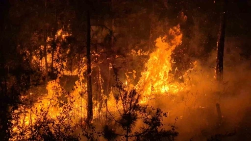 Alevler geçtiği yeri kararttı
