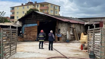 Alevlerden kaçarken yola fırlayan kedinin imdadına yetişti
