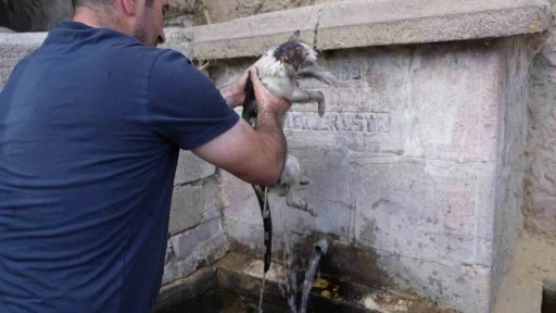 Alevlerin içinde kurtardığı kediye adeta can suyu verdi
