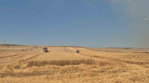 Alevlerle bi&ccedil;erd&ouml;ver yarışı: Yangının dibinde zamanla yarış
