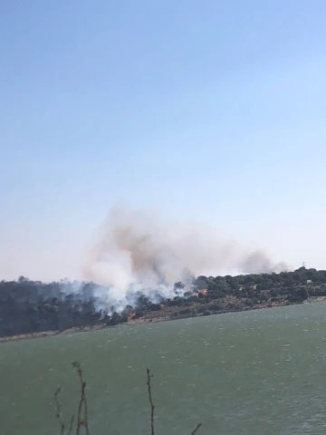 Aliağa’da makilik ve otluk alanda çıkan yangın söndürüldü

