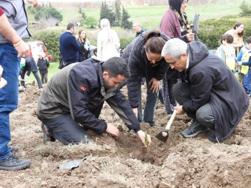Aliağa’da Orman Haftası’nda bin adet fidan dikildi
