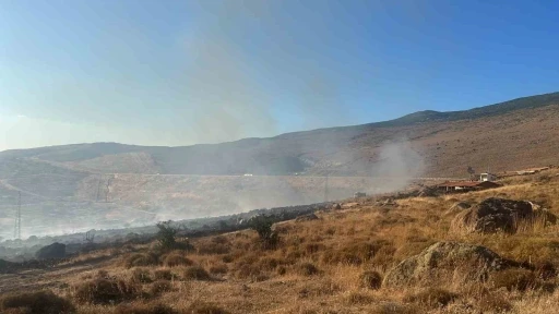 Aliağa&rsquo;da otluk alanda yangın
