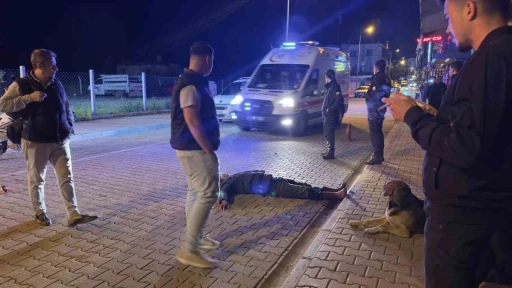 Alkol komasına giren vatandaşı sokak köpeği yalnız bırakmadı
