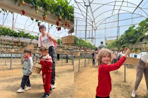 ALK&Uuml;&rsquo;l&uuml; minikler fidan dikip &ccedil;ilek topladı

